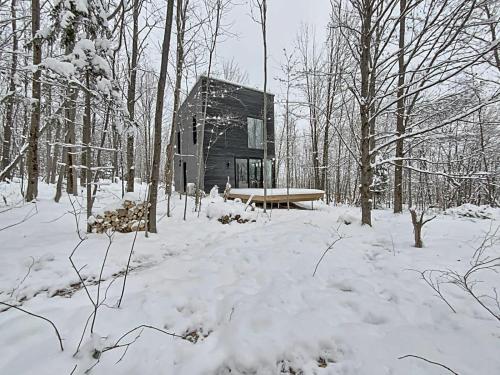 Chalet Black Box v zimě