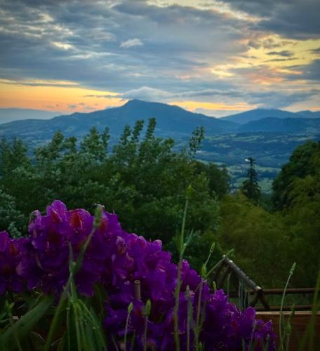 a bunch of purple flowers in front of a mountain at Domaine de la Griffe - Appartement "Sous Dine" in La Roche-sur-Foron