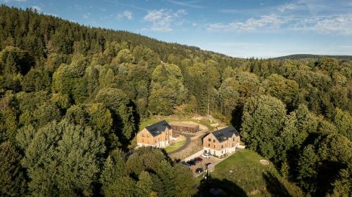 une vue aérienne d'une maison au milieu d'une forêt dans l'établissement Apartmány Hraničná s privátním wellness, à Bedřichov