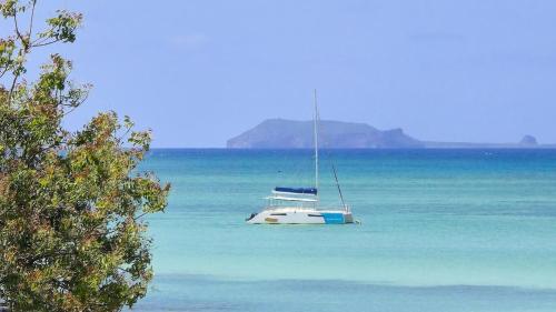 别墅周边自然景观