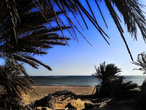 Φυσικό τοπίο κοντά σε αυτό το κάμπινγκ