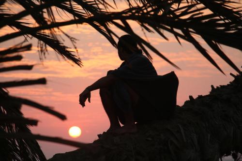 Eine Frau sitzt auf einem Baum und schaut dem Sonnenuntergang entgegen in der Unterkunft Nakhlat E'taal Camp - نخلة التل كامب in Nabq
