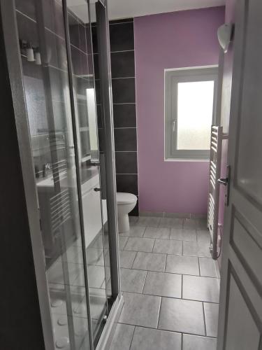 a bathroom with a toilet and a glass shower stall at Maison familiale Chinon in Chinon