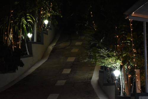 an empty alley at night with palm trees and lights at South point homestay in Virajpet