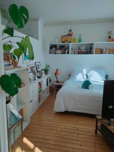 Charming apartment Trocadéro Eiffel Tower
