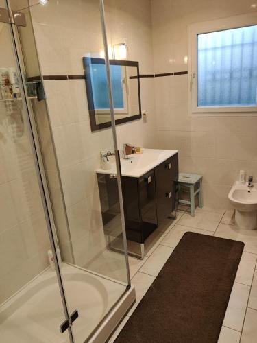 a bathroom with a shower and a sink at chambre dans une maison in Chassagnes