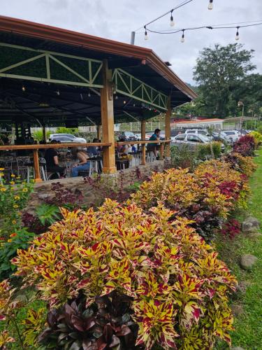 Gallery image of Río Palomo CT in Paraíso