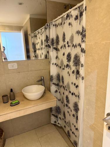 ein Badezimmer mit Waschbecken und Duschvorhang in der Unterkunft Escobar Centro in Belén de Escobar