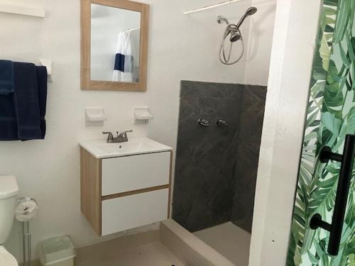 une salle de bains avec douche, lavabo et miroir dans l'établissement Trade Winds Restaurant & Guest House, à Vieques