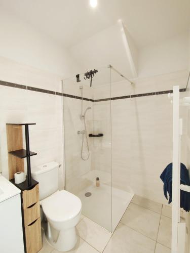 a bathroom with a toilet and a glass shower at Appartement centre Ax-les-Thermes proche télécabines & parking in Ax-les-Thermes