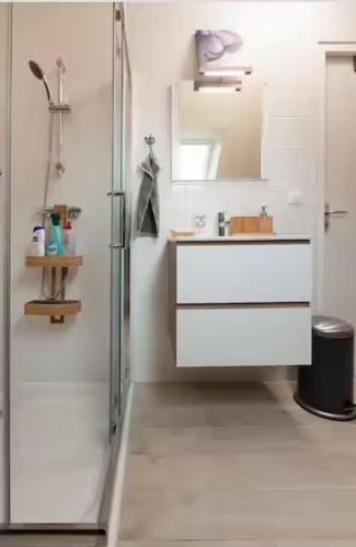 a white bathroom with a sink and a mirror at Envol du Phénix - Studio Phenix 20 m² avec jardin in Plouédern