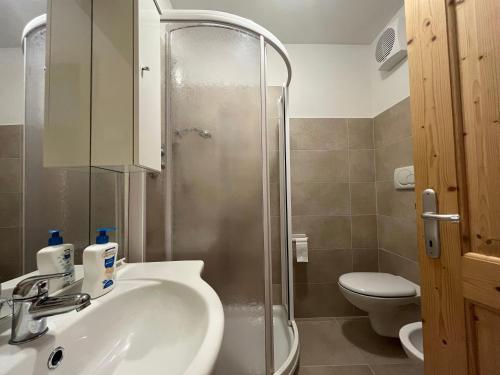 a bathroom with a shower and a sink and a toilet at Casa Brenta - Alpine Charm in Madonna di Campiglio