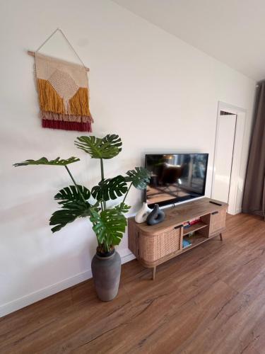 Et tv og/eller underholdning på Vista Izera