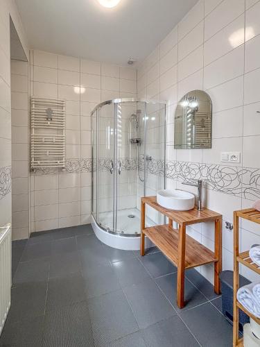 a bathroom with a shower and a sink at The Lion Rooms -Apartamenty z aneksami kuchennymi in Ustroń
