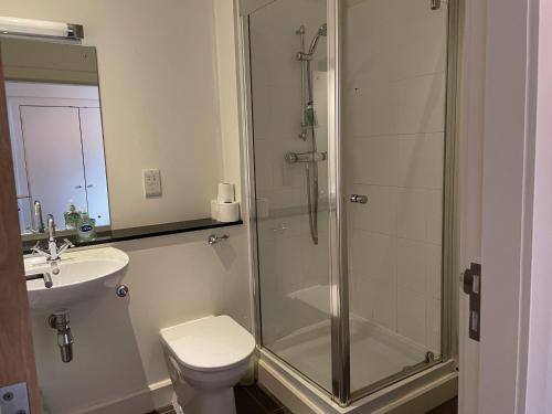 een badkamer met een douche, een toilet en een wastafel bij Monastery 17 in Fort Augustus