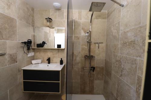 a bathroom with a sink and a shower at gite des 3 rivières in Longeault