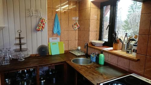 eine Küche mit Spüle und Arbeitsplatte in der Unterkunft Atsalama puhketalu kompleks in Atsalama