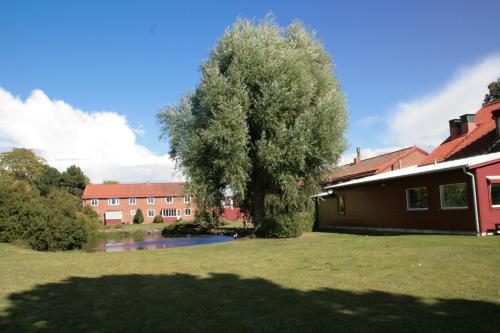 a tree in a yard next to a building at Vadstena Folkhögskola Vandrarhem in Vadstena