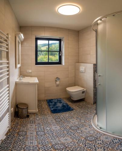 a bathroom with a toilet and a sink and a shower at Chalupa Jesenka in Sobotín