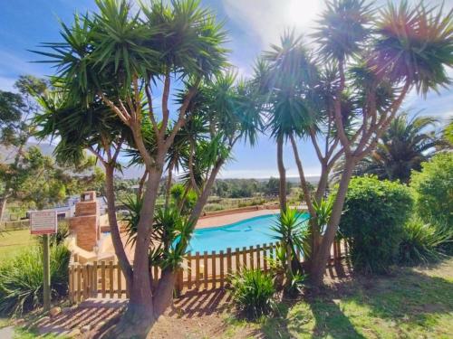 einen Pool mit Palmen vor einem Zaun in der Unterkunft Into the Sunset Manor in Gordonʼs Bay
