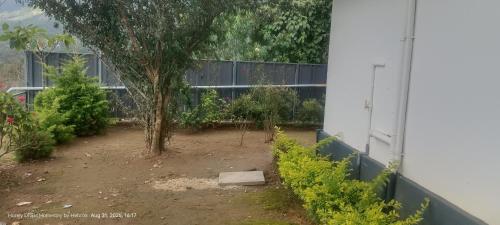 un árbol en un patio al lado de un edificio en Honey Drops Homestay by Hebron, en Kanthalloor