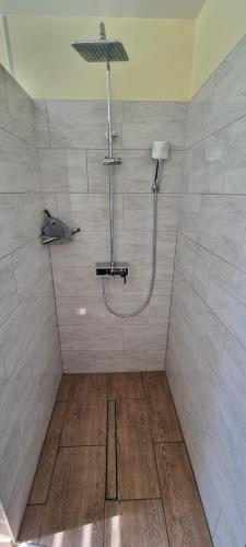ein Bad mit einer Dusche in der Unterkunft Ferien auf dem Lande 