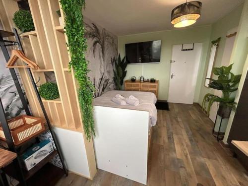 シャルトルにあるStudio le Cosy Jungleの壁に植物が植わるベッド付きの部屋