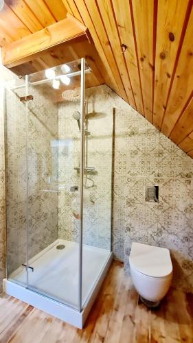 a bathroom with a toilet and a glass shower at Trasą S7 w 2h z Warszawy i Gdanska, Jadamowo 16 nad jeziorem Mielno in Olsztynek