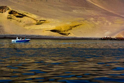 un groupe de personnes dans un bateau sur l'eau dans l'établissement HOSPEDAJE JOSUE - paracas, à Paracas