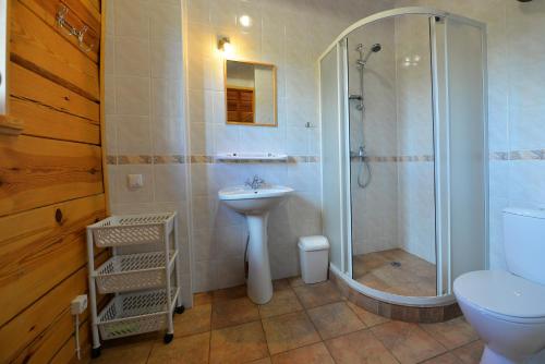 a bathroom with a shower and a sink and a toilet at Romo sodyba in Trakai