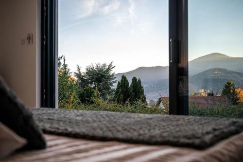 Příroda nedaleko vily