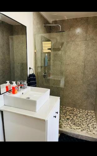 a bathroom with a white sink and a shower at Crump's Loft House in Durban