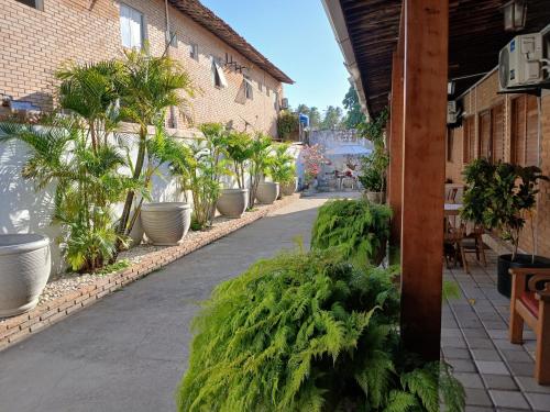 a walkway with potted plants on the side of a building at Aluguel de suítes praia do frances in Marechal Deodoro