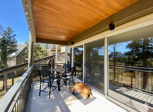 a dog laying on the porch of a house at Pines 2167 by SummitCove Lodging in Keystone