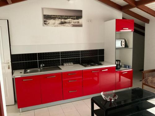 eine rote Küche mit einer Spüle und roten Schränken in der Unterkunft Ambre des iles in Sainte-Anne