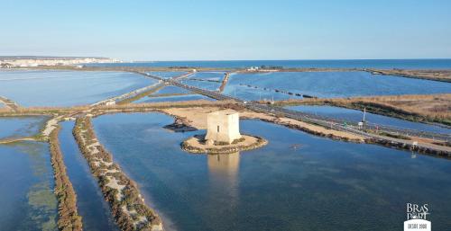 La Macarena Torrevieja photo 30