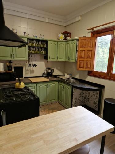 eine Küche mit grünen Schränken und einem Tisch darin in der Unterkunft La Herbolera Vv in Teror