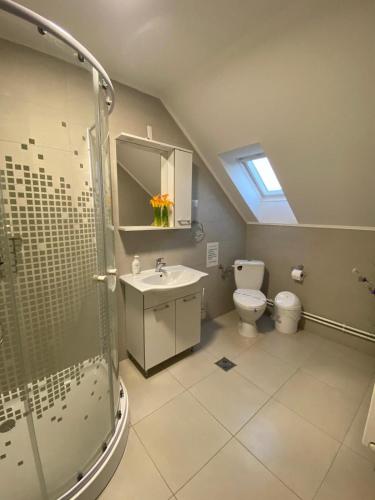 a bathroom with a shower and a sink and a toilet at Casa Baraceanu Bran in Bran