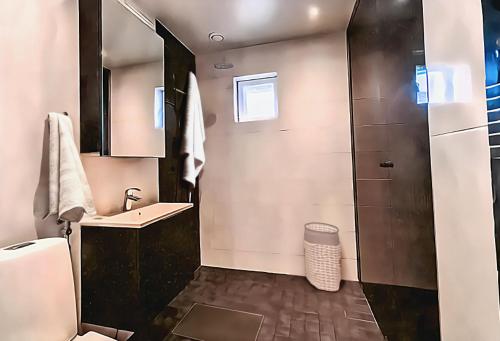 ein kleines Badezimmer mit Waschbecken und Dusche in der Unterkunft Villa near the sea in a scenic area in Mariehamn in Mariehamn