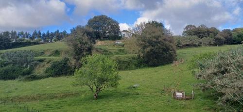 a green field with trees and a house on a hill at Quinta da pêra rocha in Alcobaça