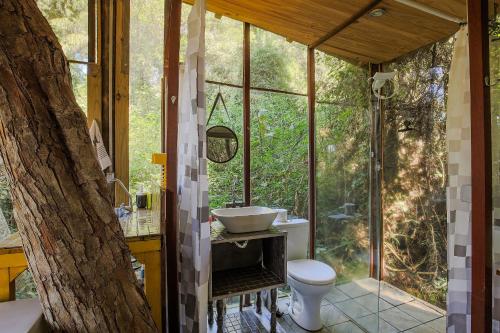 ein Bad mit einem Waschbecken, einem WC und einem Baum in der Unterkunft Casa de Vidro na Mata há 90km de São Paulo, com Lago, Piscina, Caiaque, Stand UP, Cascata e Escorrega no Lago - Quinta do Vale Itatiba in Itatiba
