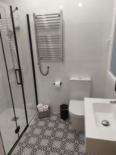 ein Badezimmer mit Dusche, Toilette und Waschbecken in der Unterkunft Apartamento Puerta de San Fernando in Lugo
