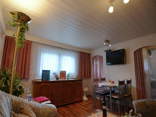 a living room with a couch and a table and a television at Heatable Pool Retreat in Neuhaus am Rennweg