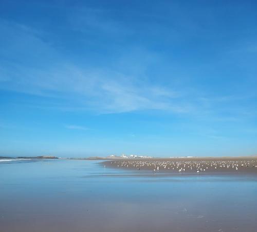 Φυσικό τοπίο κοντά σε αυτός ο ξενώνας
