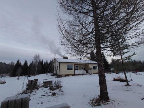 een huis in een met sneeuw bedekt veld met een boom bij Do you like peace and silence in Tervola