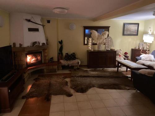 a living room with a fireplace and a couch and a rug at Magiczny Dom nad Bugiem 