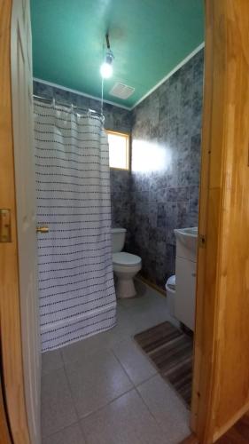 a bathroom with a shower curtain and a toilet at Cabaña Pulingue-Base Camp in Ancagual
