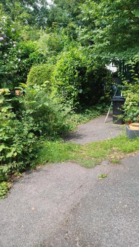 Foto dalla galleria di campo verde a Hürth