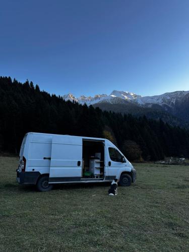 a cat sitting next to a white van in a field at campers georgia in Kutaisi