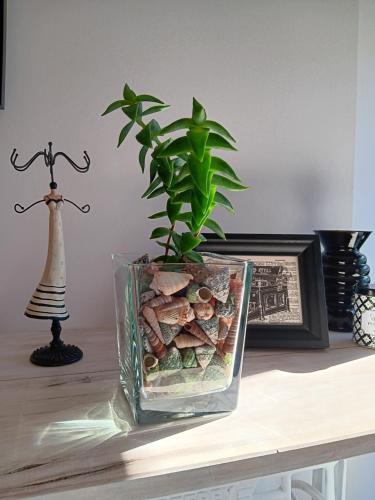 Fotografie z fotogalerie ubytování Casa Regina Baiona- ideal familias, grupos y peregrinos cerca playa v destinaci Baiona